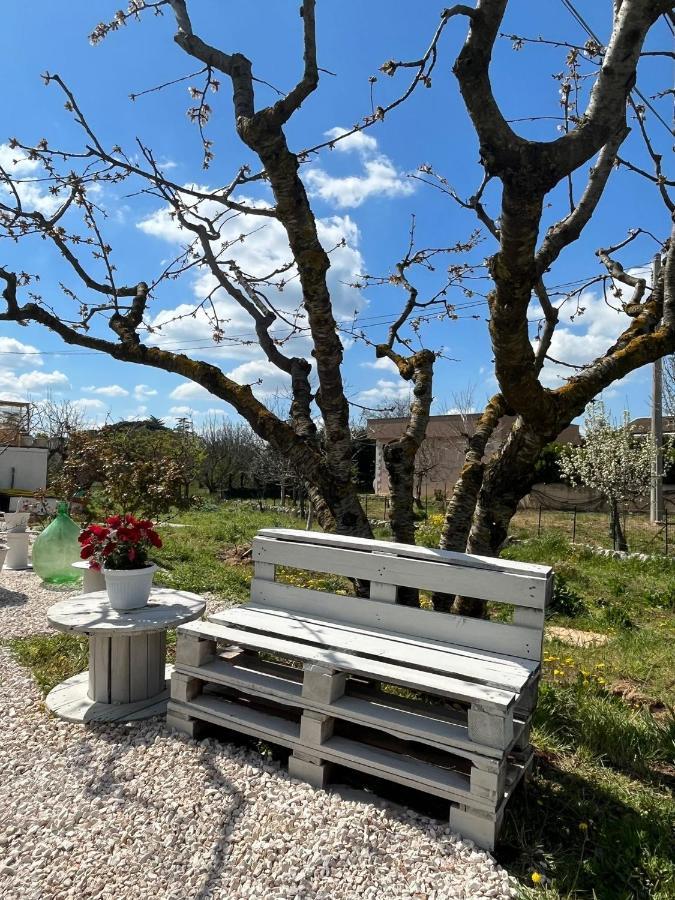 Вілла Il Trullo Di Mattia Ночі Екстер'єр фото